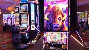 tk111 bet