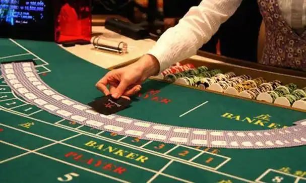 tk111 bet